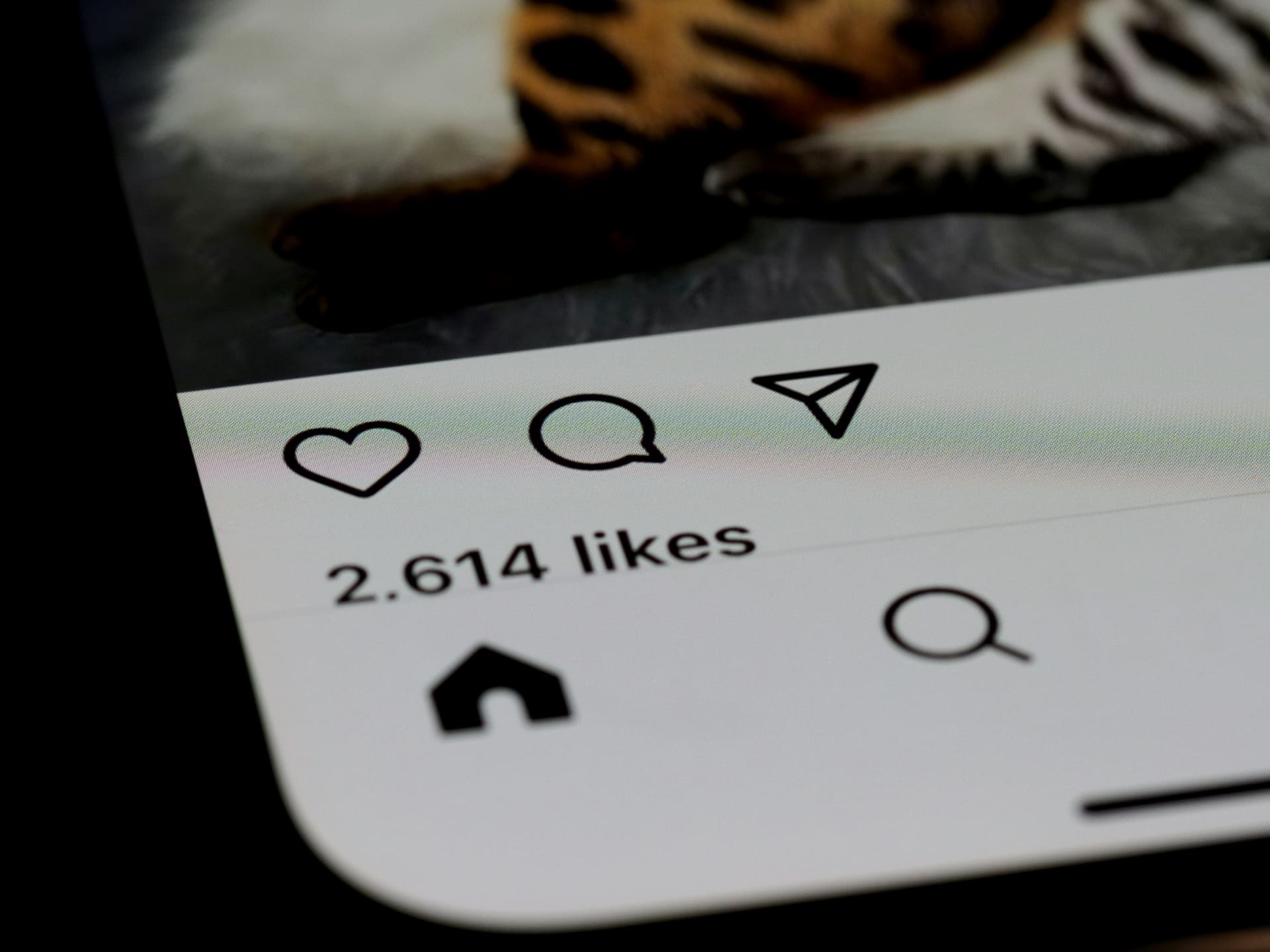 Stop Chasing Followers: The Metrics That Actually Drive Revenue — Social Media Strategy guide by Compelite Pro